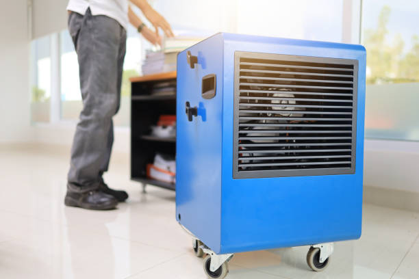 Trusted Strawberry, CA Mold Removal Experts