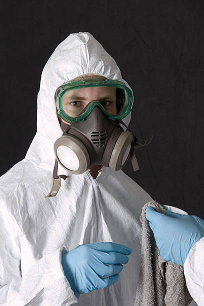 Best Mold Documentation for Insurance Claims  in Strawberry, CA